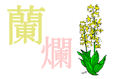 080228�C�V����