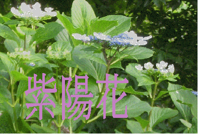 080622���z��