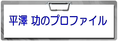 ���V ���̃v���t�@�C�� 